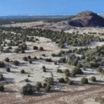 Image of land development project at TBD Bourdon Ranch Road, Show Low, AZ.