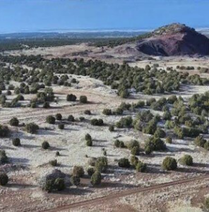 Image of land development project at TBD Bourdon Ranch Road, Show Low, AZ.